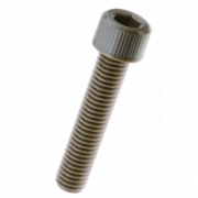 PEEK® Socket Head Screw